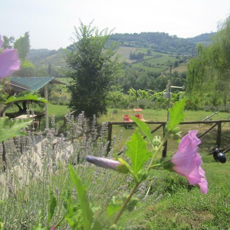 Le Spighe Agriturismo Cesena Exterior foto