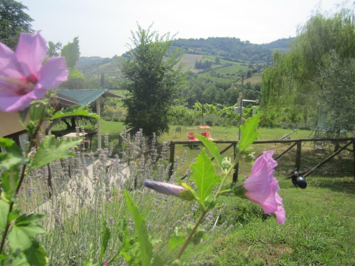 Le Spighe Agriturismo Cesena Exterior foto